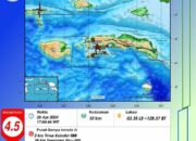 BMKG: Gempa 4.5 SR Guncang Kairatu-Seram Bagian Barat Sore Ini