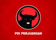 PILGUB Maluku: Sudah 3 Orang Daftar Cagub di PDIP