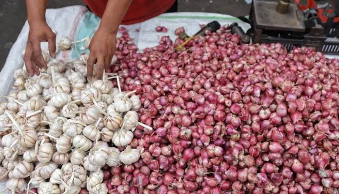 BIKIN GIGIT JARI! Harga Sederet Kebutuhan Dapur di Ambon Makin Mahal Usai Lebaran Idul Fitri