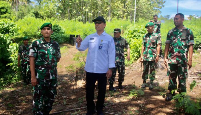 Progress Penanaman Pohon di Batalyon 731 Kabaresi Ditinjau PLN dan PPAD