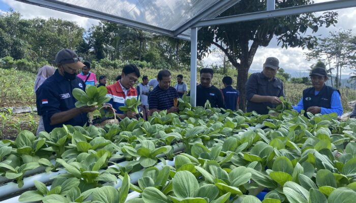 Peduli Lingkungan, IT Wayame Pertamina Maluku Kolaborasi Tanam 500 Pohon di Dusun Keranjang