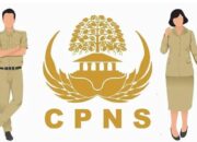 Pendaftaran CPNS 2024 Resmi Dibuka Hari Ini, Segera Daftar! Ini Syarat dan Cara Daftar