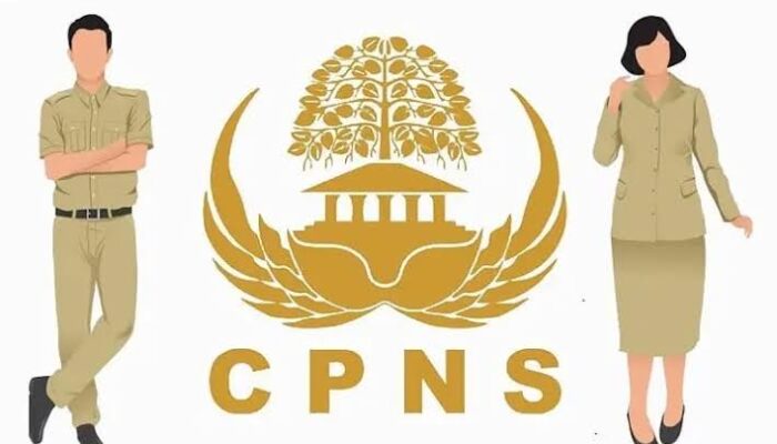 Pendaftaran CPNS 2024 Resmi Dibuka Hari Ini, Segera Daftar! Ini Syarat dan Cara Daftar