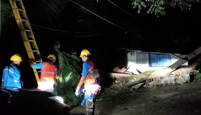 PLN UIW MMU Gerak Cepat Pulihkan Sistem Kelistrikan yang Terganggu akibat Pohon Tumbang di Ambon