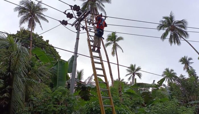 Gerak Cepat PLN KP Manipa Atasi Gangguan Kelistrikan, Kini Masyarakat Jalani Ibadah Puasa Tanpa Khawatir Listrik Padam