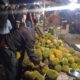 11/5/2025 - Durian