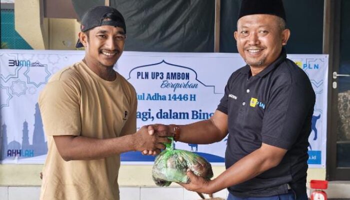 PLN UIW MMU Salurkan 68 Hewan Kurban untuk Masyarakat Maluku dan Maluku Utara
