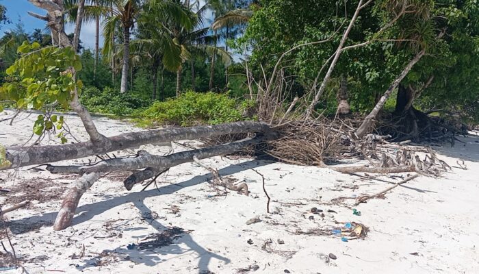 Pantai Ngiarwarat Terlantar Pascafestival, Warga dan Pemerintah Didorong Bangkitkan Potensi Wisata Malra