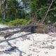 14/6/2025 - Pantai Ngiarwarat