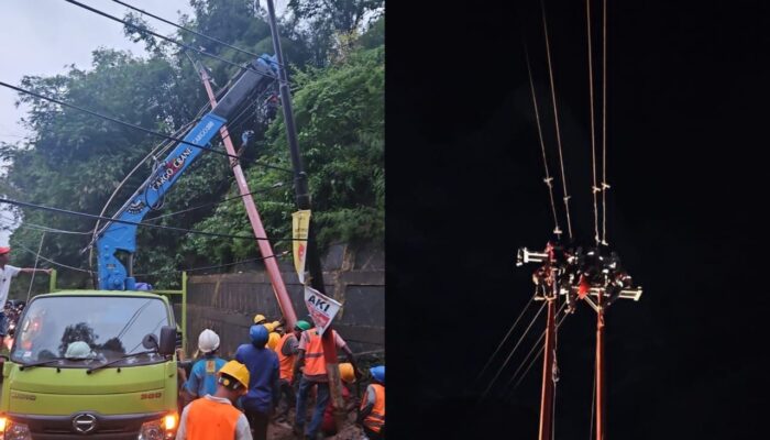 PLN UP3 Ambon Gerak Cepat Pulihkan Listrik akibat Pohon Tumbang di Tengah Hujan Deras