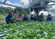 Wayame Hydro Bae, Inovasi Pertamina yang Ubah Krisis Air Jadi Peluang Ekonomi untuk Warga Ambon
