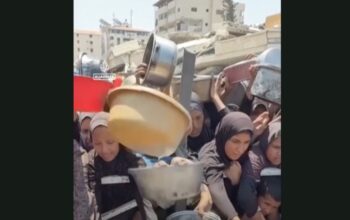 26/7/2025 - Gaza