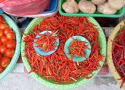 Harga Cabai di Pasar Marren Tual Masih Mahal di Angka Rp 120 ribu per kilo, Ini Sebabnya