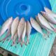 Hujan dan Angin, Harga Ikan di Pasar Langgur Maluku Tenggara Melambung Tinggi