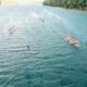 Melihat Aksi Perahu Naga Membelah Laut Sathean saat HUT RI di Maluku Tenggara