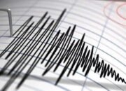 GEMPA Guncang Ambon 6 Magnitudo, Dirasakan Cukup Kuat
