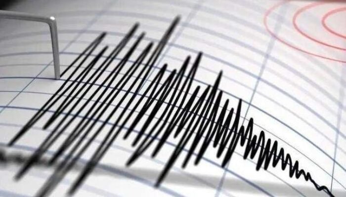 Gempa Tektonik Magnitudo 4,3 Guncang Ambon, Belum Ada Laporan Kerusakan