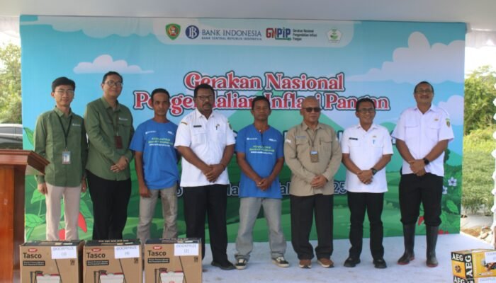 Panen Perdana Cabai Digital Jadi Tonggak Transformasi Pertanian Maluku