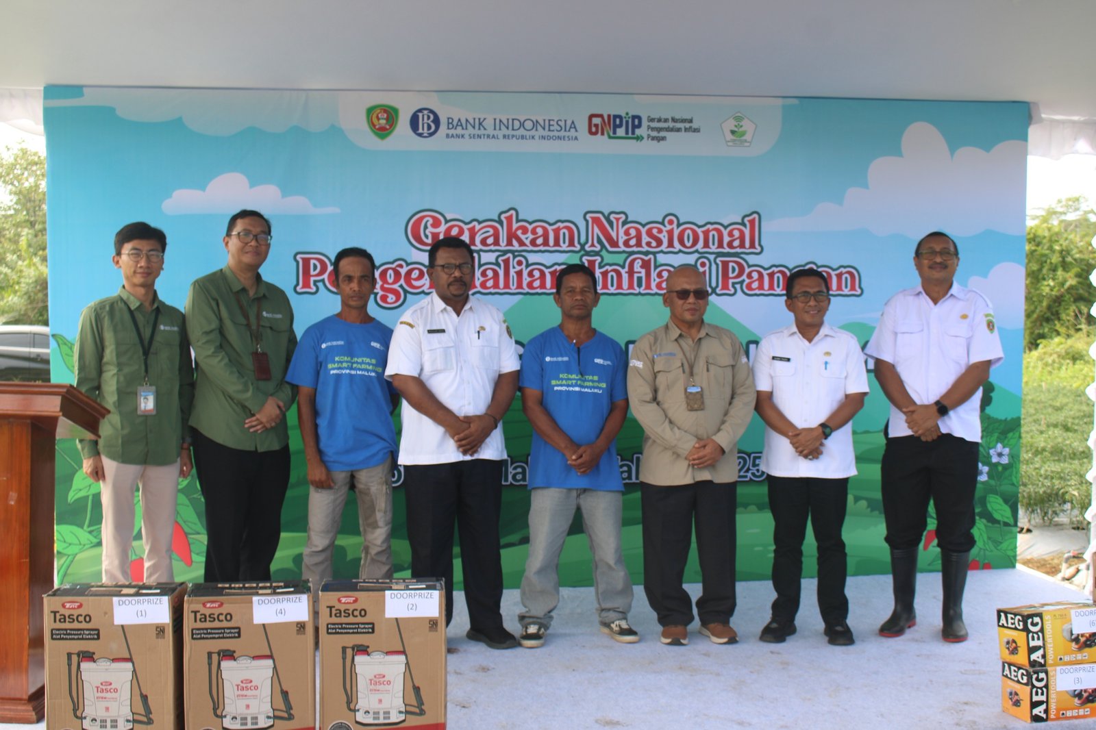 13/11/2025 - Panen Cabai