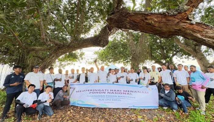 PLN UP3 Sofifi Gelar Aksi Tanam Mangrove dan Bersih Pantai di Somahode Peringati HMPI