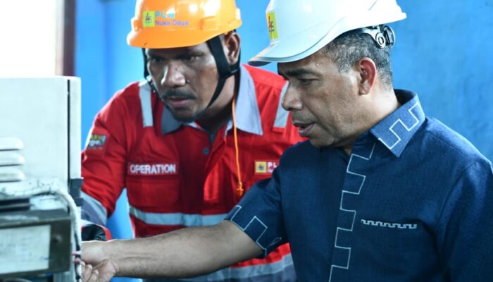 Cahaya PLN 24 Jam di Pelosok Dullah Laut, Warga Maksimal Nikmati Layanan Listrik