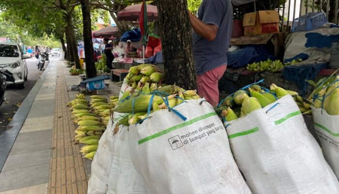 Harga Jagung di Pasar Binaya Masohi Naik Tajam Jelang Malam Tahun Baru 2026