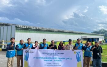 Dukung Industri Kelapa, PLN Tingkatkan Daya PT NICO di Halmahera Utara