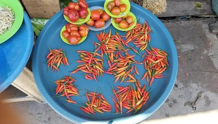 Harga Cabai di Pasar Langgur Maluku Mahal, Tembus Rp 130 Ribu Per Kilo