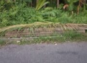 Maling Berulah! Rangka Jembatan Bailey Rumadian-Dian Maluku Raib Digondol, Kerugian Ditaksir Jutaan