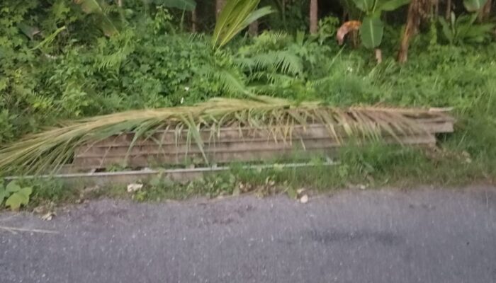 Maling Berulah! Rangka Jembatan Bailey Rumadian-Dian Maluku Raib Digondol, Kerugian Ditaksir Jutaan