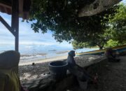 Menunggu Kapal Ikan Sejak Pagi, Mama-Mama Papalele di Yainuelo Hadapi Kenaikan Harga Momar