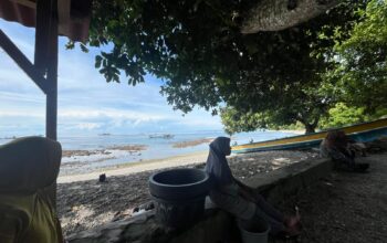 Menunggu Kapal Ikan Sejak Pagi, Mama-Mama Papalele di Yainuelo Hadapi Kenaikan Harga Momar