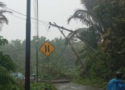 Cuaca Ekstrem Sebabkan Padam Listrik di Ambon, PLN Bergerak Cepat Lakukan Penormalan