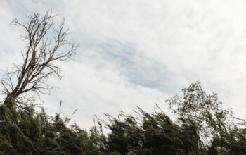 14/1/2026 - Angin Kencang