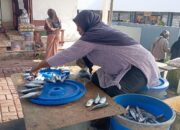 Cuaca Buruk, Harga Ikan di Pasar Langgur Maluku Mahal Tembus 50 Ribuan