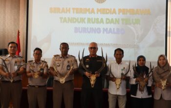 Gagalkan Penyelundupan Satwa Dilindungi, Karantina Maluku Amankan Telur Maleo dan Tanduk Rusa