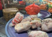 Harga Bahan Pokok di Pasar Binaya Masohi Naik Jelang Ramadan 2026, Stabil Sejak Natal 2025