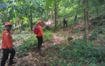 Lansia 79 Tahun Bertahan Tiga Hari di Hutan Larike, Tim SAR Gabungan Temukan dalam Kondisi Selamat