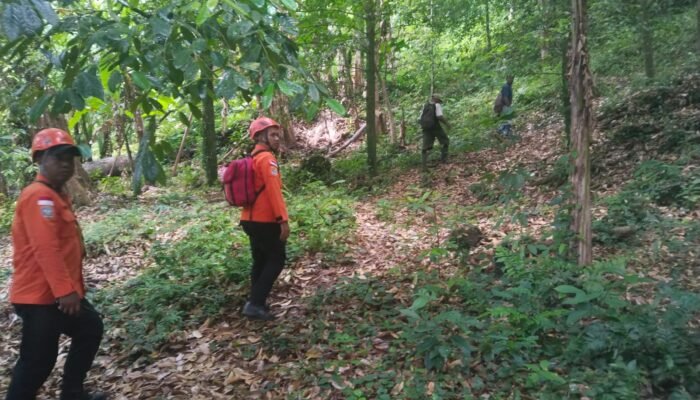 Lansia 79 Tahun Bertahan Tiga Hari di Hutan Larike, Tim SAR Gabungan Temukan dalam Kondisi Selamat