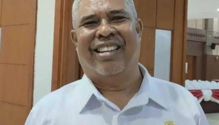 Terancam Gelap Gulita, DPRD Maluku Desak Adakan Listrik Permanen di Tiga Desa di Wetar Utara