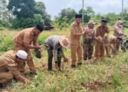 Panen Raya Bawang Merah, Amir Rumra Harap Kota Tual Bisa Kendalikan Inflasi