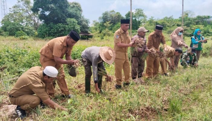 Panen Raya Bawang Merah, Amir Rumra Harap Kota Tual Bisa Kendalikan Inflasi