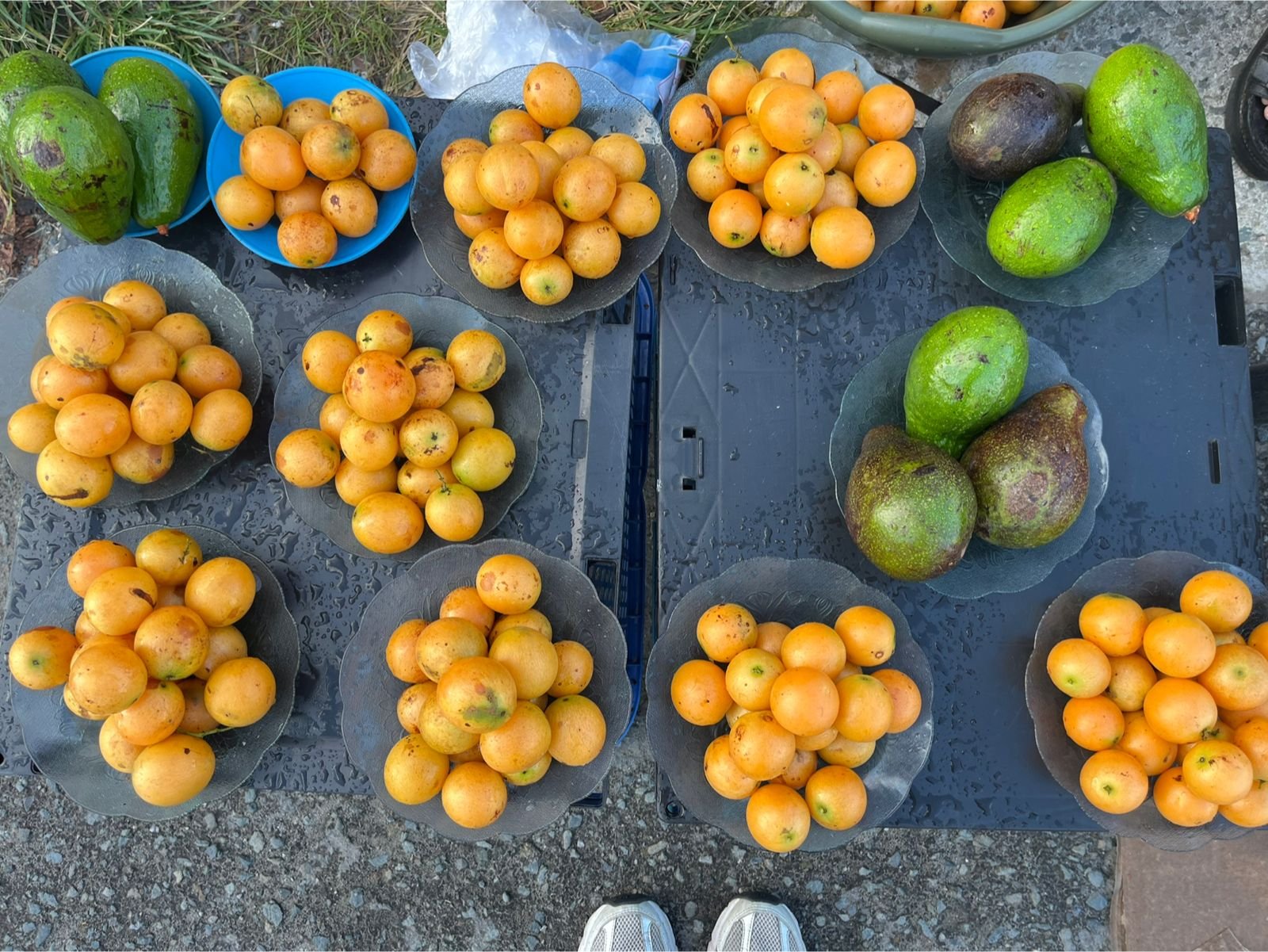 8/3/2026 - Gandaria 2