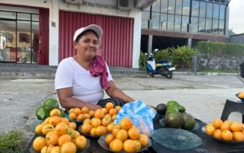 Musim Gandaria Datang Lagi, Mama Jibu Jibu di Ambon Nikmati Rezeki Musiman