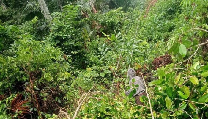 Gangguan Listrik di Manipa Berangsur Normal, PLN Terus Percepat Perbaikan