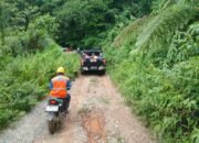 PLN UIW MMU Pastikan Keandalan Listrik pada Peresmian Gereja Galed di Rumberu