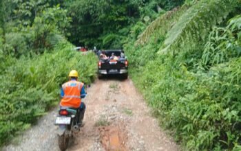 PLN UIW MMU Pastikan Keandalan Listrik pada Peresmian Gereja Galed di Rumberu