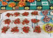 Lebaran Usai, Harga Cabai di Maluku Tenggara Masih Tinggi, Tembus Rp150 Ribu per Kilogram