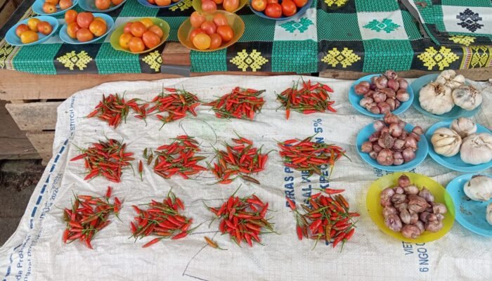 Lebaran Usai, Harga Cabai di Maluku Tenggara Masih Tinggi, Tembus Rp150 Ribu per Kilogram