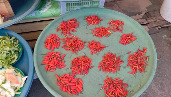 Harga Cabai di Maluku Tenggara Makin Mahal, Sentuh Rp 200 Ribu Per Kilo